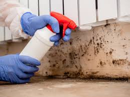 Trusted Clifton, TN Mold Inspection Experts